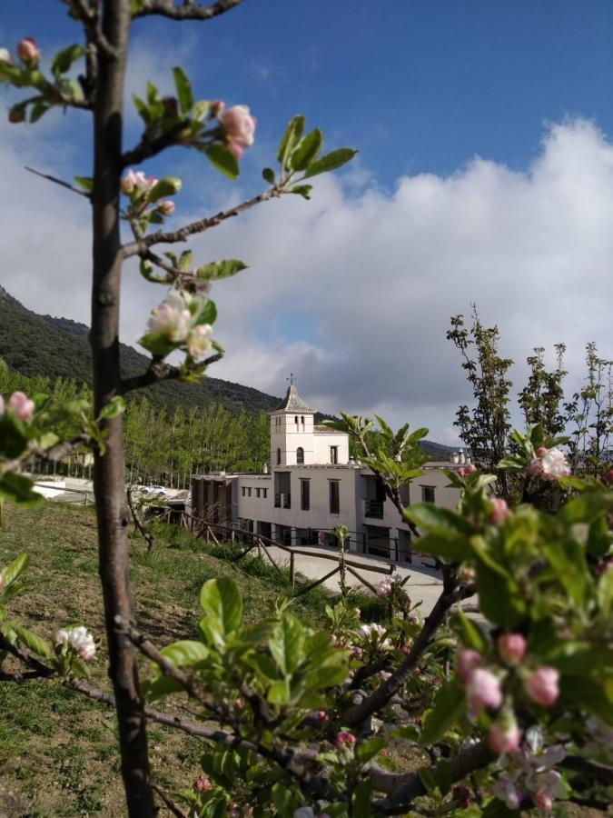 Nueva Alcazaba Busquístar