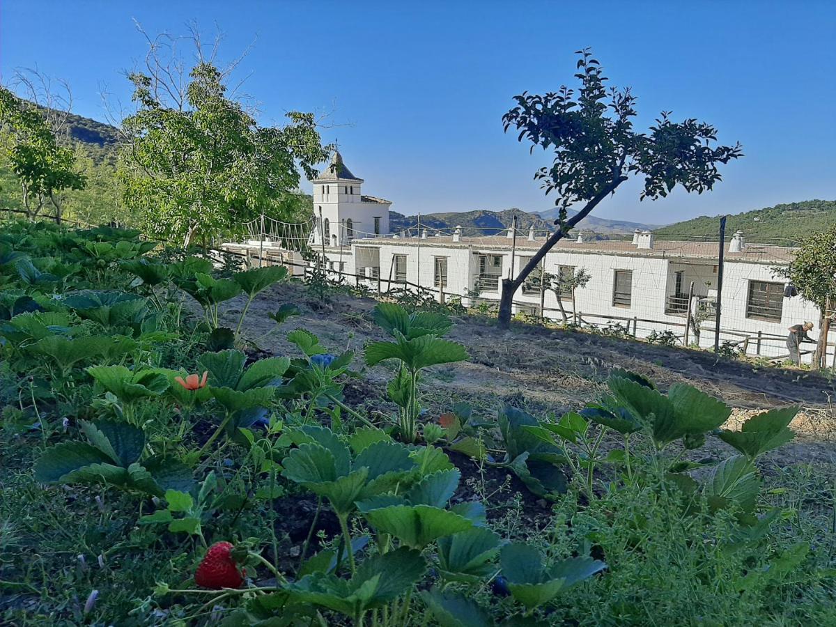 Nueva Alcazaba Hotel