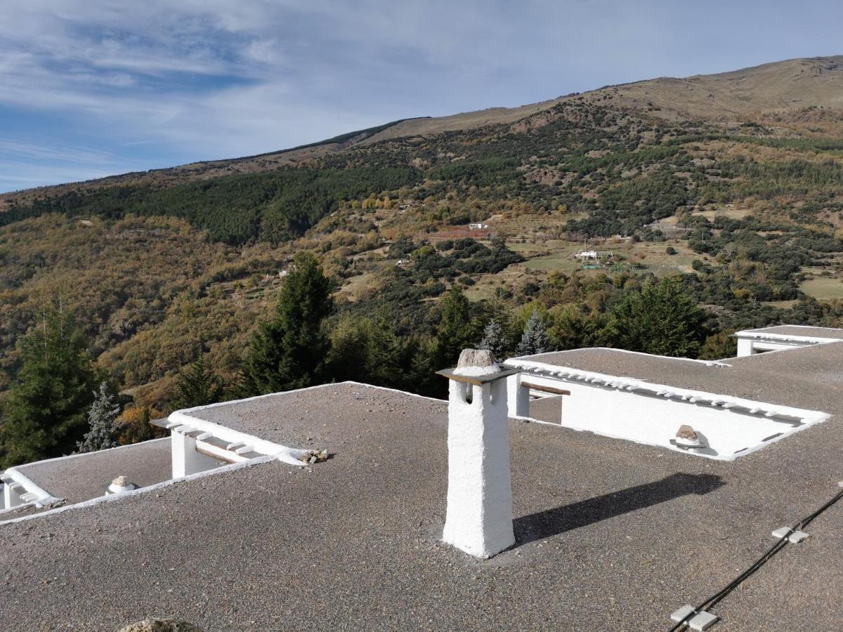 Nueva Alcazaba Hotel